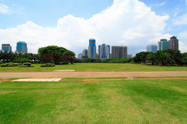 城市公園綠化